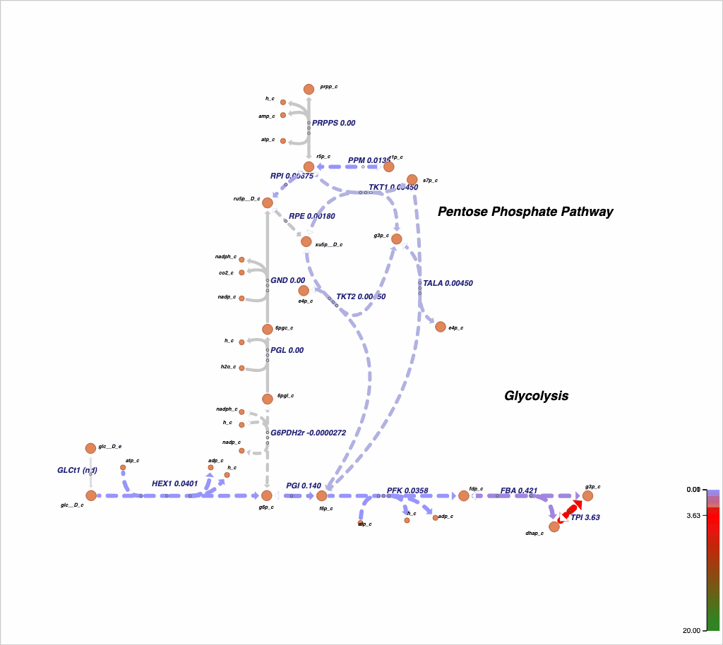 _images/animation_demo.gif